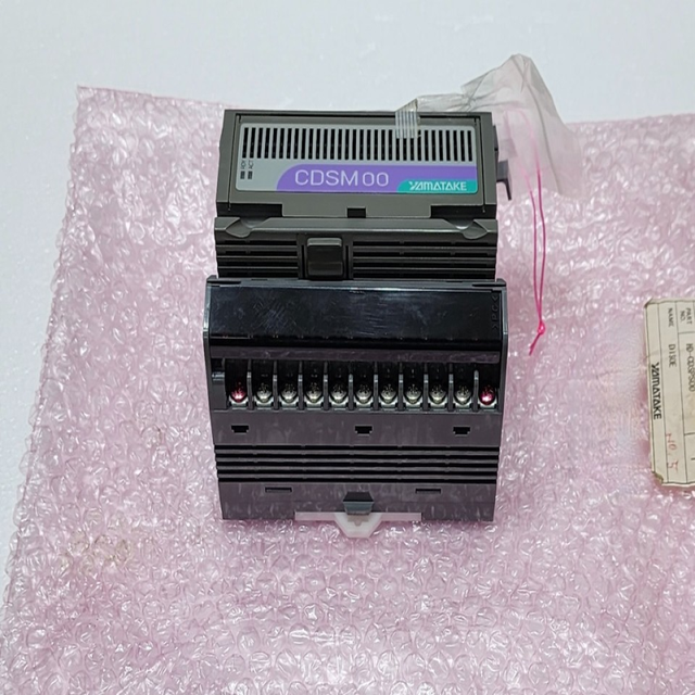 CDSM00 CDS Series 24VDC Input Module PLC