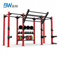 BW CF Professional Factory Custom Design Rig Fitness Gym Equipment FreeStanding Pull up Cross Training Fitness Rig