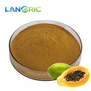 Polvo de Extracto de Semilla de Papaya de Alta Calidad, Polvo de Semilla de Papaya en Venta - Product Image 3