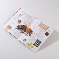 Brochure personnalisée de haute qualité imprimée en offset avec reliure agrafée, papier couché, carton ondulé, papier journal
