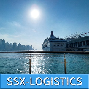 从中国深圳到日本韩国新加坡/美国的海运物流服务-货运代理 - Product Image 6