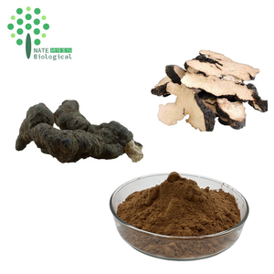 Extracto de <span class=keywords><strong>Polyporus</strong></span> Umbellatus, Hongo Polypore, 30% Polisacáridos - Product Image 1