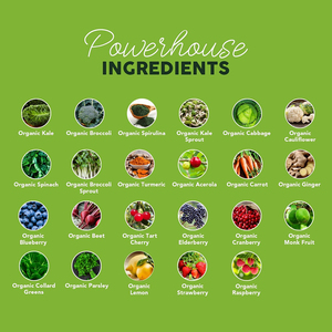 Poudre de Super Greens de haute qualité, marque privée, pour augmenter l'énergie, soutenir l'immunité, favoriser une peau claire, favoriser la digestion, la santé intestinale et la détoxification. - Product Image 5