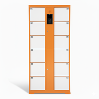 Casier de rangement intelligent à 12 portes, serrure à code manuelle, assemblé, durable, résistant à la rouille, sécurisé, en acier, montage au sol, armoire personnelle