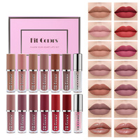 Fit Colors Coffret cadeau de 14 gloss à lèvres véganes, finis mat et nacré, anti-transfert, huile à lèvres changeante de couleur, rouge à lèvres liquide et base de rouge à lèvres