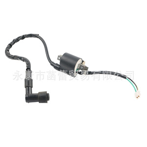 Bobinas de Encendido de Alto Voltaje para Motocicletas, Vehículos Todoterreno, Buggy de Playa, con Motor de 50-110cc - Product Image 1