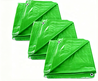 Bâche en PE imperméable renforcée, toile plastique enduite de HDPE pour l'extérieur