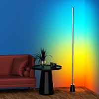 Moderne Simple Nordique Décoratif Télécommandé Lumières Coin Led Debout Rgb Lampadaires pour Salon