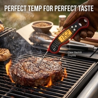 Thermomètres à viande à lecture instantanée, thermomètres numériques à affichage LCD pliables, thermomètres à viande pour barbecue, logo personnalisé, thermomètre pour barbecue