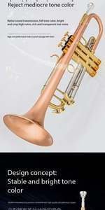 Fabrika doğrudan profesyonel performans b-ton küçük bant trompet türler için mükemmel - Product Image 4