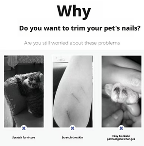 Tragbare Edelstahl-Nagelfeile für Hunde und Katzen Reinigungs- und Pflegeprodukt Nagelknipser Sanft Schmerzlos Sicher - Product Image 2