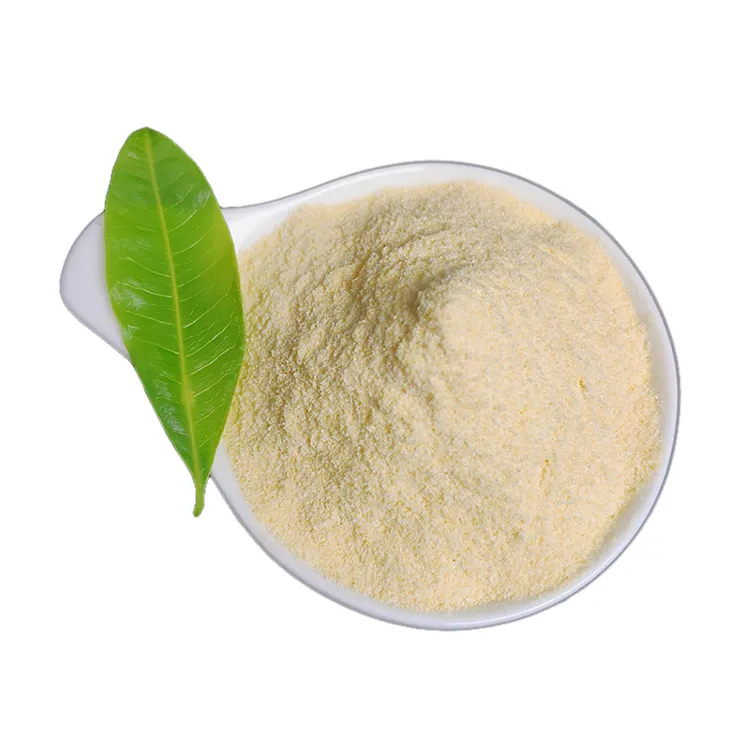 Polvere di acido ferulico antiossidante di qualità 99% estratto vegetale CAS 1135-24-6 con cibo e cosmetici