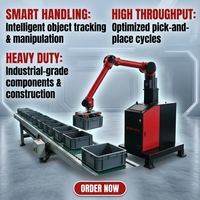 Stasiun Palletizing Terintegrasi Beban Angkut 30KG Rentang Lengan 1600mm Sistem Robot Otomatis BORUNTE 5kw 220V Kapasitas 100