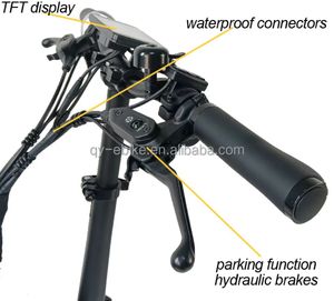 Triciclo Plegable de Alta Calidad de 20 Pulgadas con Batería Extraíble, Bicicleta de 3 Ruedas, Triciclo Eléctrico para la Familia - Product Image 4