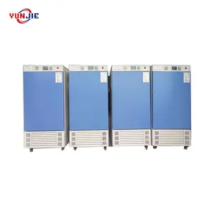 Small And Medium-sized Commercial Multiple Available Fruit And Vegetable Drying Machines Hot Air Circulation Oven Equipment