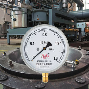 Y150 Manometer für Kessel, Wasserpumpe, Öl, Gas, Hydraulik, Messinggewinde, 1,6 Klasse, 1,0/1,6/2,5 MPa - Product Image 6
