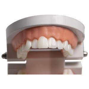 Modelo de Carillas Dentales con Funciones de Adhesión y Remoción para Prácticas de Enseñanza de Simulación, Equipo Educativo - Product Image 3