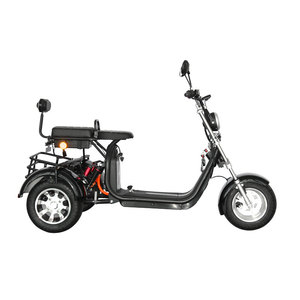 Stock entrepôt UE Citycoco Chopper Scooter électrique Citycoco Tricycle électrique 3 roues CP-3 <span class=keywords><strong>Moto</strong></span> SHANSU - Product Image 6