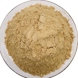 Bubuk Jahe Organik Cina Kelas Makanan 100% Murni Grosir Bubuk Jahe untuk Memasak - Product Image 3