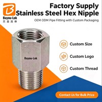 Conexión de Válvula de Tubería Bayou Lok de Acero Inoxidable 316L Forjado con Cabeza Hexagonal Pulida, Rosca NPT/BSP Macho/Hembra, Clase de Alta Presión 3000