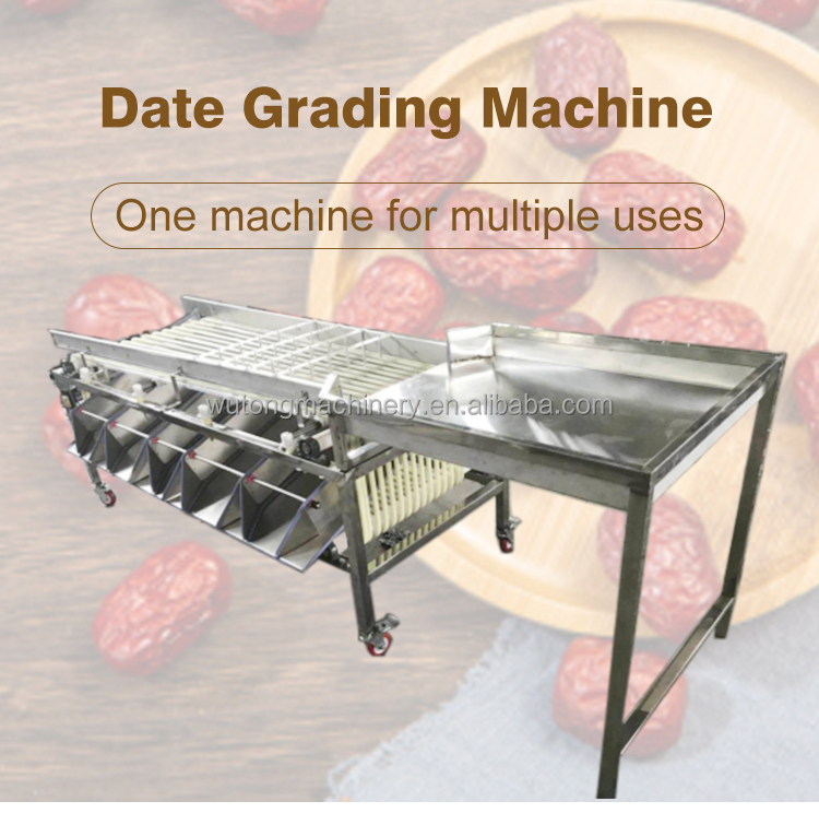Fruits Grader Machine Fresh Blueberry Grading Sorting Machine Raspberry finger lime Size Classifier