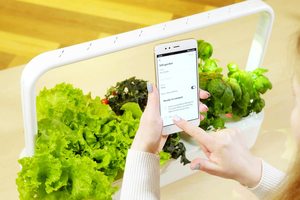 Kit <span class=keywords><strong>de</strong></span> démarrage <span class=keywords><strong>de</strong></span> jardin médical intérieur pour légumes <span class=keywords><strong>de</strong></span> Noël 2024, pot <span class=keywords><strong>de</strong></span> fleurs intelligent contrôlé par application tactile, arrosage au sol - Product Image 2