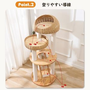 Premium Großer Katzenkratzbaum Turm Luxus-Stil Sisal Jute Material Naturholz Mini XXL Innen Katzenbaum Kartonverpackt - Product Image 2