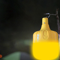 Lampe Solaire Anti-Moustiques Multifonctionnelle Portable, Rechargeable, Efficace Contre les Mouches et Autres Insectes