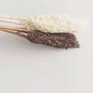 El mundo <span class=keywords><strong>de</strong></span> <span class=keywords><strong>las</strong></span> flores <span class=keywords><strong>de</strong></span> sorgo secas más vendidas para boda/<span class=keywords><strong>casa</strong></span>/decoración del hogar arreglo floral - Product Image 4