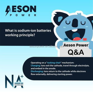 新型エイソンパワーNA24-20Aナトリウムイオン24V 20AhカーバッテリーMF始動用、2つの450CCAバッテリーの代替品、2700サイクル、-40～80℃、6.1kg - Product Image 6