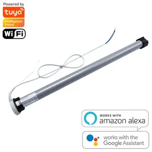 Customized Size Smart Alexa Electric Remote Battery Power Motorized Roller Shade For Windows Remote Roller Blinds