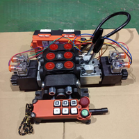 Vanne à commande à distance sans fil 12V 24V CC à un sens et à une bobine pour système hydraulique
