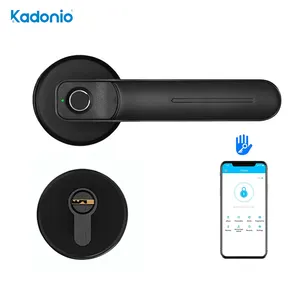 Kadonio Custom Cheap China Wholesale Competitive Price Smart Mortise Lock Push Black Door Handles With Key Lock