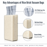 Sac sous vide pour briques de riz, haricots et céréales, sac de stockage de grains thermoscellable de qualité alimentaire, impression personnalisée disponible, MOQ 100