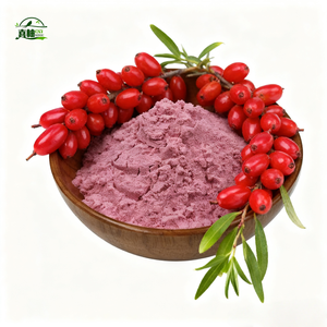 Poudre de <span class=keywords><strong>Synsepalum</strong></span> Dulcificum 100% Naturelle, Extrait de Fruit Miracle, Poudre de Miraculine, Poudre Miracle Pure - Product Image 1