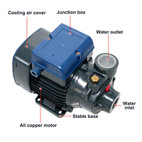 Pompe centrifuge à haute efficacité certifiée CE RoHS 220V, faible bruit, pour la circulation de l'eau dans la maison, le jardin, la piscine, le bassin, l'aquarium