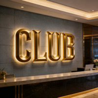 Lettres en relief en aluminium massif lumineuses 3D avec éclairage LED personnalisé pour les entreprises de publicité, IP65