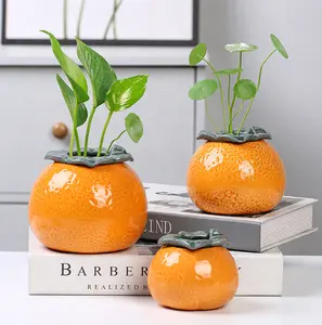 Unique Succulent Pots Decorative Orange Shaped Planters for Indoor Plants