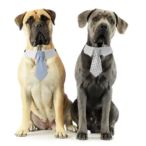 Wholesale luxury small medium large tie male dog apparel wedding collar