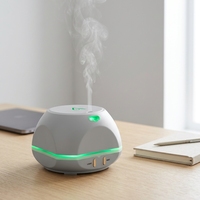 Diffuseur d'arômes ultrasonique USB 150 ml, humidificateur d'huiles essentielles pour la maison, l'hôtel, la voiture