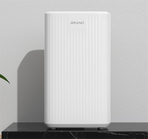 2024 New Style Customized Color 10l <b>Dehumidifier</b> Portable Smart Air Dryer Mini <b>Dehumidifier</b> for Home Use Portable <b>Dehumidifier</b> - Product Image 4