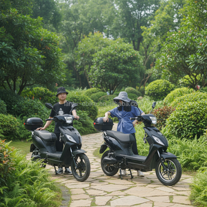 Scooter <span class=keywords><strong>électrique</strong></span> haute vitesse 1000W homologué EEC COC, sans <span class=keywords><strong>permis</strong></span> requis pour les trajets quotidiens des adultes, directement de l'usine - Product Image 5