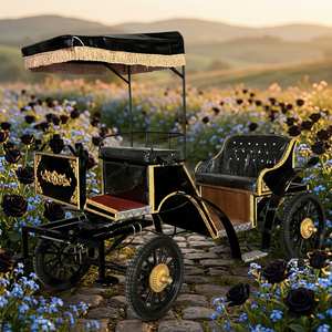 Carruaje Eléctrico sin Caballos de Lujo, Estilo Real, Negro y Dorado, para Paseos Turísticos, el Más Popular, en Venta - Product Image 1