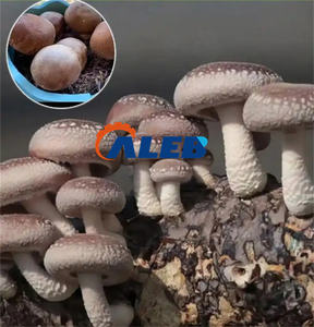 Мешки для завивки грибов - Product Image 6