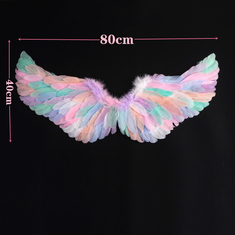 Medium colored swallow wings