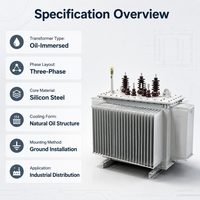 Transformateur à huile S13 triphasé à noyau en acier au silicium IEC60076 KVA personnalisé pour la distribution industrielle