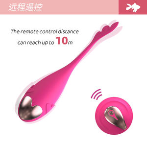 Vibrateur de massage G-Point à 10 fréquences avec télécommande, en silicone et ABS, pour adultes - Product Image 4