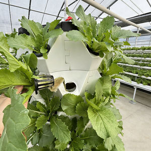 Sistema Hidropónico de Torre de Piña de 10 Niveles, Luces LED de Cultivo Opcionales, Riego Automático de Nutrientes y Ruedas Móviles - Product Image 5