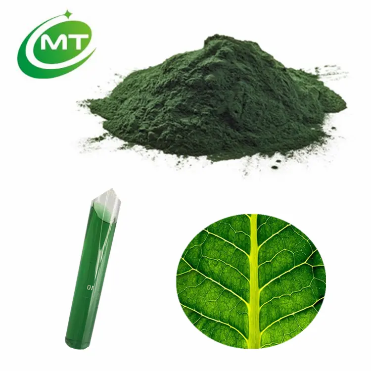 อินทรีย์สูงบริสุทธิ์ธรรมชาติรงควัตถุสีเขียว Colorant คลอโรฟิลล์ผงสำหรับการดูแลผิวและอาหาร