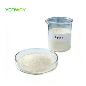 Enzyme lipase de qualité alimentaire <span class=keywords><strong>pour</strong></span> <span class=keywords><strong>la</strong></span> pâtisserie, améliorant <span class=keywords><strong>la</strong></span> blancheur et <span class=keywords><strong>la</strong></span> luminosité du pain, des nouilles et des produits à base de farine - Product Image 1